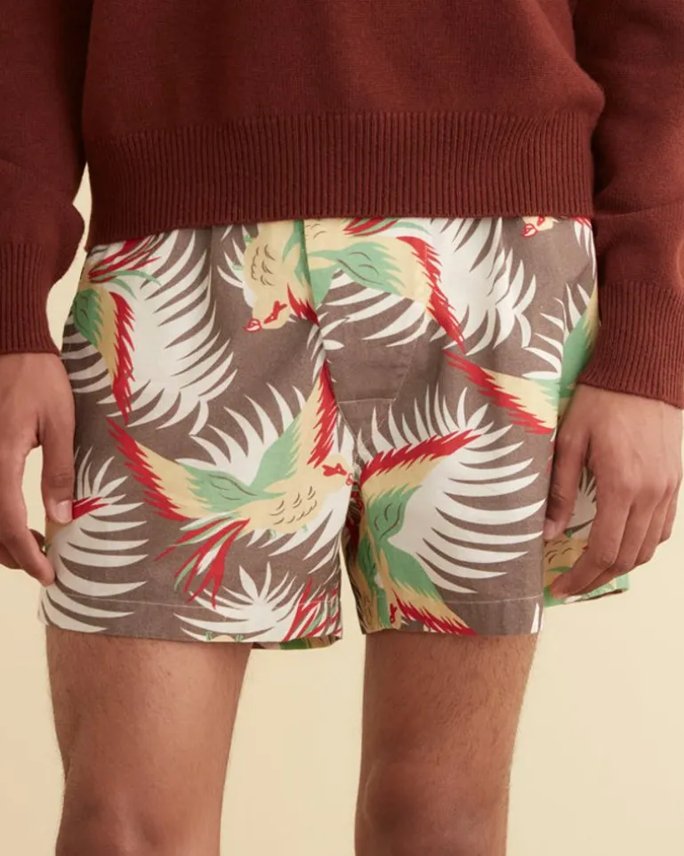 Men BODE Sun Conure Boxers